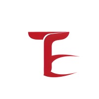 Team Eminence LLC logo - Similar company to Avis Technologiesllc