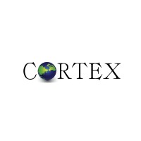 Cortex Consultants LLC logo - Similar company to Krg Technologies Inc.