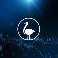 Zayden Bags logo - Similar company to Ocean King