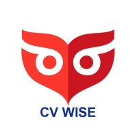 CV Wise - Recruitment outsourcing, search and recruitment coaching logo - Similar company to 9Grid-Hr