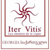 Iter Vitis GEORGIA logo - Similar company to Iter Terra Vitis