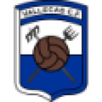 Vallecas CF logo - Similar company to Ztelec Electric Technology (Zhengzhou) Co.,Ltd