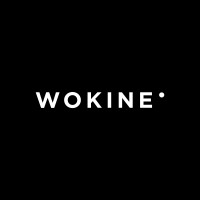 Wokine logo - Similar company to Zatsit
