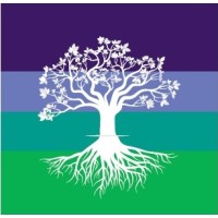 Desarrollo Organizacional Sostenible