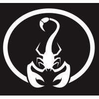Scorpion Audio logo - Similar company to Fame Music Ltd