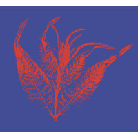 Restaurant De Nieuwe Winkel logo - Similar company to Bolenius Restaurant