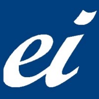 The Esthetic Institute logo - Similar company to Network Specialists