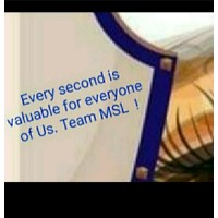 Msl Consulting