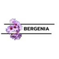 Bergenia Consultancy Services Pvt Ltd logo - Similar company to Metacraft Solutions