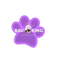 BAUKING S.R.L. logo - Similar company to Datteco
