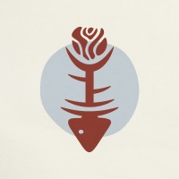 Salmon Rose Creative logo - Similar company to Velo Group