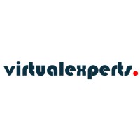 Virtualexperts hub logo - Similar company to Jnb Exectant