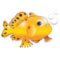 Frogfish Solutions