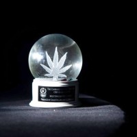 Cannabis Business Awards®️ logo - Similar company to Clover Leaf University™️