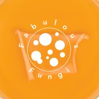 Fabulous Fungi logo - Similar company to Openred