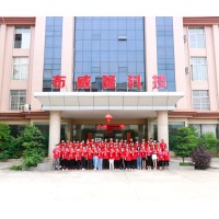 Jiangxi Brilliant Technology Co.,Ltd logo - Similar company to Guangzhou Roadpassion Electronics Technology Co.,Ltd.