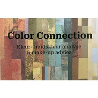 Color Connection logo - Similar company to Amplitudo