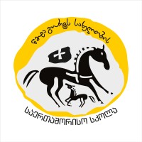 Saint George's International School logo - Similar company to Transfers Georgia