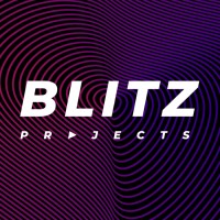 Blitz Projects logo - Similar company to Lots Bemiddeling Bv