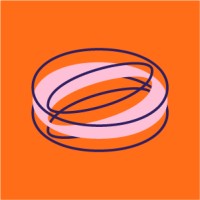 estúdio coloio logo - Similar company to Estudio Ditongo