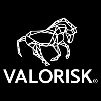 VALORISK logo - Similar company to Valoforma