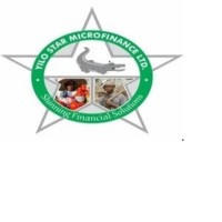 YILO STAR MICROFINANCE LTD logo - Similar company to Sikanii