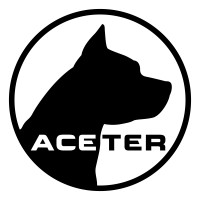 Aceter Technologies logo - Similar company to Wer1