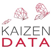 KAIZEN DATA logo - Similar company to Vectorive