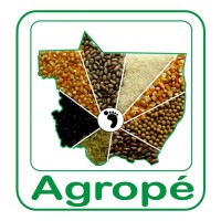 AGROPÉ - Consultoria de Controle de Qualidade de Pós Colheita de Grãos e Sementes logo - Similar company to Total Grãos