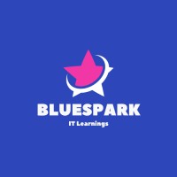 BlueSpark IT Learnings logo - Similar company to Bluespark Technologies
