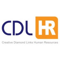 Creative Diamond Links Co., Ltd. (CDL-HR) logo - Similar company to Ebm Co., Ltd.