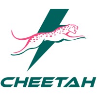 Cheetah Cannabis logo - Similar company to High Cannabis