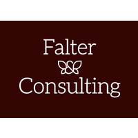 Falter Consulting GmbH logo - Similar company to Vision Group