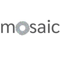 Mosaic: More-than-Human Sustainable and Inclusive Smart Cities logo - Similar company to Human Ecosystems Relazioni