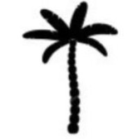 Palm Advisory logo - Similar company to Waldner Partner