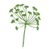 Nature Wild Forest School logo - Similar company to Rewilding Education