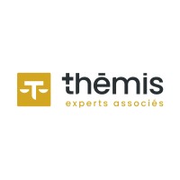 THEMIS EXPERTS ASSOCIES logo - Similar company to Formalease L Le Guide Du Formaliste