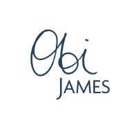 Obi James Consultancy Limited logo - Similar company to Thinking Space Consulting