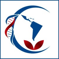 Ceibo Health Consulting logo - Similar company to Envision Management Consultancy