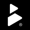 Boldstance® logo - Similar company to Gikko