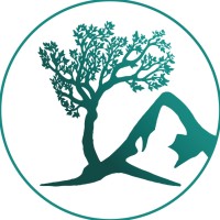 Apex Accounting & Consulting Firm logo - Similar company to Secure Bookkeeping Solutions