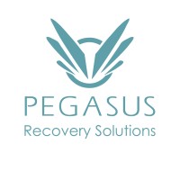 Pegasus Recovery Solutions logo - Similar company to Pegasus Network Solutions