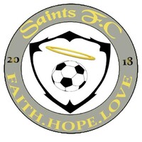 Saints Football Club logo - Similar company to Global Trade Algorithmic Intelligence Center (Export Hunter, Uab)