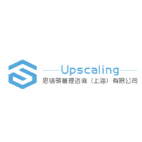 Upscaling Consulting Firm logo - Similar company to Analytics Visionaries