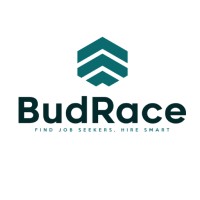 BudRace logo - Similar company to A.T.Wisely Oy
