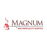 Magnum Hospitals logo - Similar company to Nfs Connect