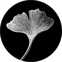 Ginkgo Media - Santé Port Royal logo - Similar company to Editions Lva Officiel