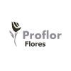Proflor Flores logo - Similar company to Edeltrend B.V.