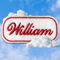 The Work of Will logo - Similar company to Greedy For Good