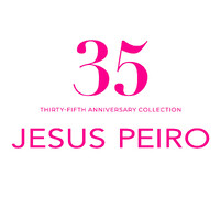 JESUS PEIRO logo - Similar company to Otaduy